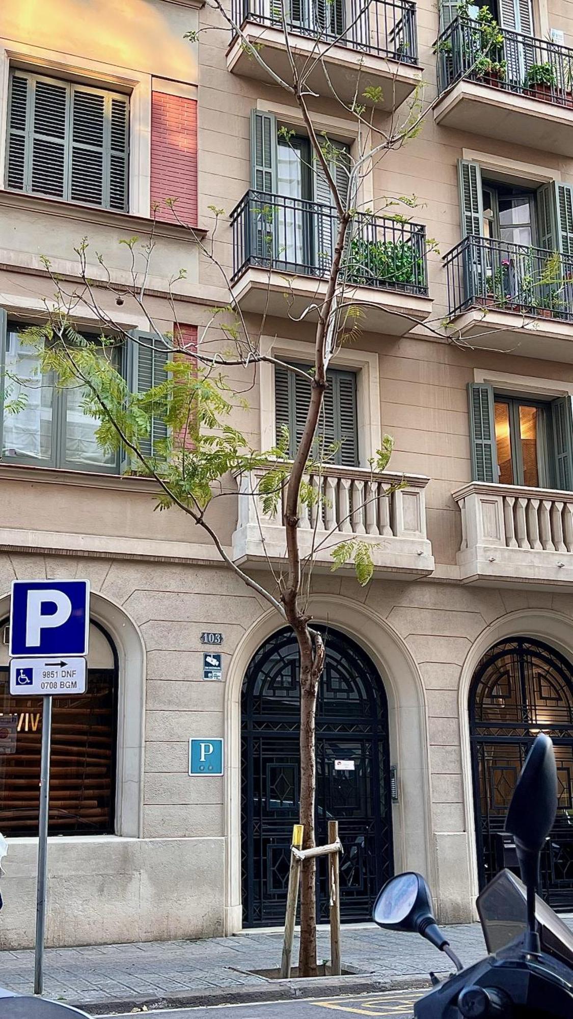 ברצלונה Hostal Madrazo מראה חיצוני תמונה